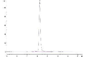 The purity of Human AXL is greater than 95 % as determined by SEC-HPLC. (AXL Protein (AA 26-449) (Fc Tag))