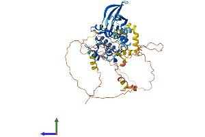 Protein Structure (PS) image for NIMA related kinase 3 (NEK3) (AA 1-511) protein (His tag) (ABIN7556183)