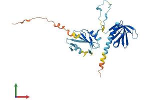 Protein Structure (PS) image for Dual Adaptor of Phosphotyrosine and 3-phosphoinositides (DAPP1) (AA 1-280) protein (His tag) (ABIN7561759)