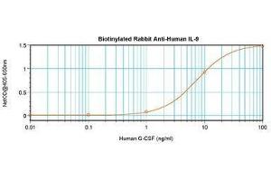 Image no. 2 for anti-Interleukin 9 (IL9) antibody (Biotin) (ABIN465832) (IL-9 Antikörper  (Biotin))
