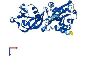 NUDT18 Protein (AA 1-323) (His tag)