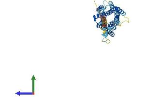 AlphaFold protein structure predicition of Mouse Recombinant Tacr2 Protein, UniprotID P30549