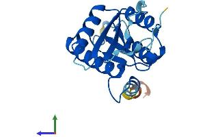 Protein Structure (PS) image for Centromere Protein M (CENPM) (AA 1-180) protein (His tag) (ABIN7553454)