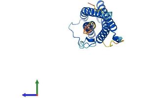 Protein Structure (PS) image for Ciliary Neurotrophic Factor (CNTF) (AA 1-198) protein (His tag) (ABIN7563385)