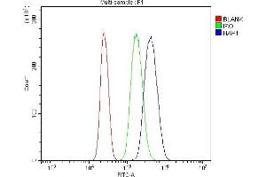 Flow Cytometry analysis of U937 cells using anti-HAP1 antibody (ABIN7599522).