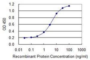Detection limit for recombinant GST tagged ATF4 is 0. (ATF4 Antikörper  (AA 1-351))