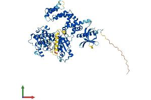 Protein Structure (PS) image for Adrenergic, Beta, Receptor Kinase 1 (ADRBK1) (AA 1-689) protein (His tag) (ABIN7560410)