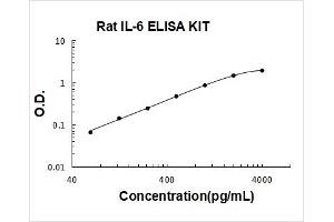 Interleukin 6 (IL6) ELISA Kit