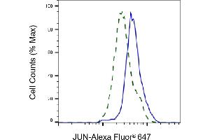 Flow cytometric analysis of JUN expression in HT- cells using JUN antibody (ABIN7799149), 1:2,000). (C-JUN Antikörper)