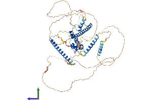 Protein Structure (PS) image for Melanophilin (MLPH) (AA 1-590) protein (His tag) (ABIN7559972)