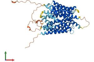 AlphaFold protein structure predicition of Human Recombinant SLC46A2 Protein, UniprotID Q9BY10
