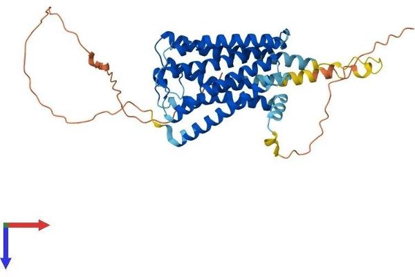 GPR63 Protein (AA 1-419) (His tag)