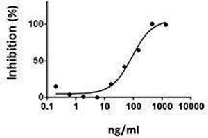 ELISA image for Tumor Necrosis Factor Receptor Superfamily, Member 11a, NFKB Activator (TNFRSF11A) (AA 29-213), (C-Term) (Active) protein (ABIN2666569)