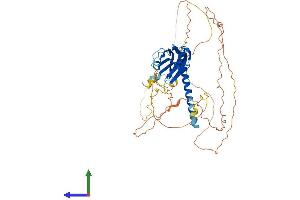 Protein Structure (PS) image for RAB11 Family Interacting Protein 2 (Class I) (RAB11FIP2) (AA 1-512) protein (His tag) (ABIN7562157)