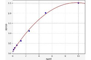 TIMP Metallopeptidase Inhibitor 3 (TIMP3) ELISA Kit