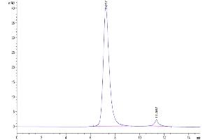 Size-exclusion chromatography-High Pressure Liquid Chromatography (SEC-HPLC) image for Fc Fragment of IgG, Low Affinity IIIa, Receptor (CD16a) (FCGR3A) (AA 17-208) protein (His-Avi Tag) (ABIN7274281)