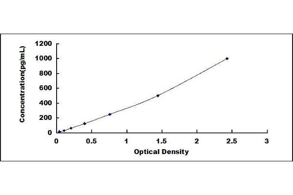 FGF7 ELISA Kit