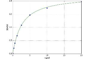 Cyclin-Dependent Kinase 5 (CDK5) ELISA Kit