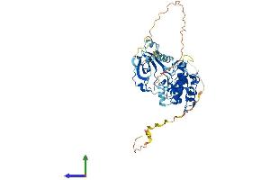 Protein Structure (PS) image for Ribosomal Protein S6 Kinase, 70kDa, Polypeptide 2 (RPS6KB2) (AA 1-485) protein (His tag) (ABIN7556388)