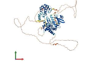 Protein Structure (PS) image for Interleukin-1 Receptor-Associated Kinase 1 (IRAK1) (AA 1-712) protein (His tag) (ABIN7554223)