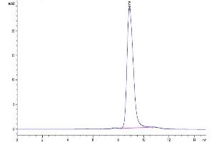 Size-exclusion chromatography-High Pressure Liquid Chromatography (SEC-HPLC) image for Butyrophilin, Subfamily 3, Member A1 (BTN3A1) (AA 1-219) protein (His-Avi Tag,Biotin) (ABIN7274002)