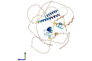 Protein Structure (PS) image for PHD Finger Protein 21A (PHF21A) (AA 1-680) protein (His tag) (ABIN7554949)