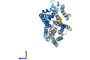 Protein Structure (PS) image for Solute Carrier Family 35, Member B2 (SLC35B2) (AA 1-431) protein (His tag) (ABIN7560153)