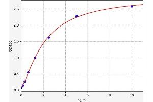 APMAP ELISA Kit