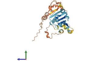 AlphaFold protein structure predicition of Human Recombinant PMS2P2 Protein, UniprotID O95744