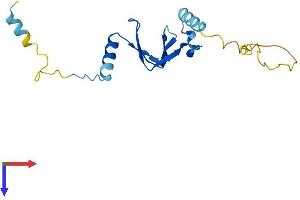 BTF3L4 Protein (AA 1-158) (His tag)