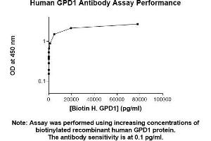 Image no. 1 for anti-Glycerol-3-Phosphate Dehydrogenase 1 (Soluble) (GPD1) (AA 1-349) antibody (ABIN5564735)