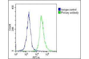 Overlay histogram showing Hela cells stained with (ABIN1536765 and ABIN2849630)(green line). (IFNA1 Antikörper  (C-Term))