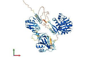 AlphaFold protein structure predicition of Mouse Recombinant Alkbh8 Protein, UniprotID Q80Y20