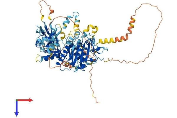 DDHD2 Protein (AA 1-711) (His tag)