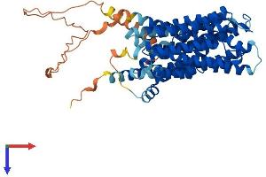 SPNS2 Protein (AA 1-549) (His tag)