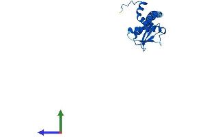 Protein Structure (PS) image for ATPase, H+ Transporting, Lysosomal 31kDa, V1 Subunit E2 (ATP6V1E2) (AA 1-226) protein (His tag) (ABIN7545080)