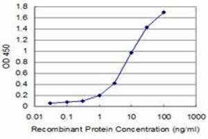 Detection limit for recombinant GST tagged ABL2 is approximately 1ng/ml as a capture antibody. (ABL2 Antikörper  (AA 743-842))