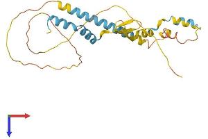 ARL6IP4 Protein (AA 1-229) (His tag)