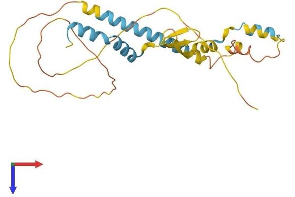 ARL6IP4 Protein (AA 1-229) (His tag)