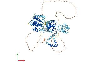 Protein Structure (PS) image for DEAD (Asp-Glu-Ala-Asp) Box Polypeptide 50 (DDX50) (AA 1-737) protein (His tag) (ABIN7547066)