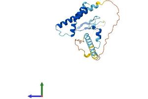 Protein Structure (PS) image for Partner of Y14 and mago (WIBG) (AA 1-204) protein (His tag) (ABIN7551167)