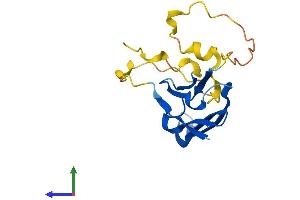 Protein Structure (PS) image for Heat Shock Protein, alpha-Crystallin-Related, B6 (HSPB6) (AA 1-160) protein (His tag) (ABIN7548434)