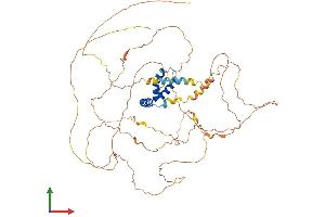 AlphaFold protein structure predicition of Human Recombinant TCF7L1 Protein, UniprotID Q9HCS4