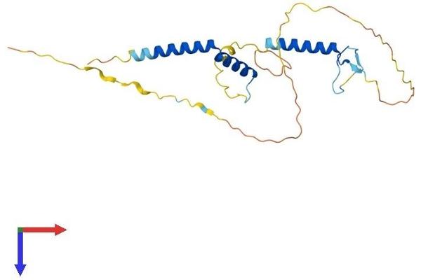 RFXAP Protein (AA 1-231) (His tag)