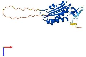 MOCS2 Protein (AA 1-189) (His tag)