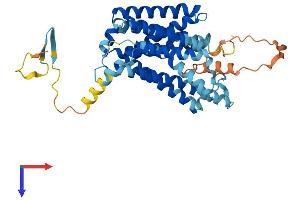 NIPAL4 Protein (AA 1-406) (His tag)