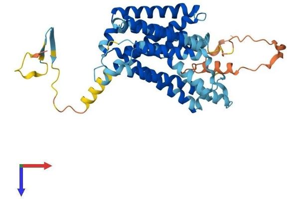NIPAL4 Protein (AA 1-406) (His tag)