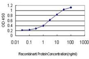 Detection limit for recombinant GST tagged TEK is approximately 0. (TEK Antikörper  (AA 701-800))