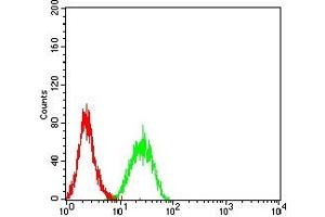 Flow cytometric analysis of K562 cells using BTN1A1 mouse mAb (green) and negative control (red). (BTN1A1 Antikörper  (AA 27-242))