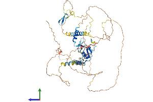 Protein Structure (PS) image for Ring Finger Protein 220 (RNF220) (AA 1-566) protein (His tag) (ABIN7558052)
